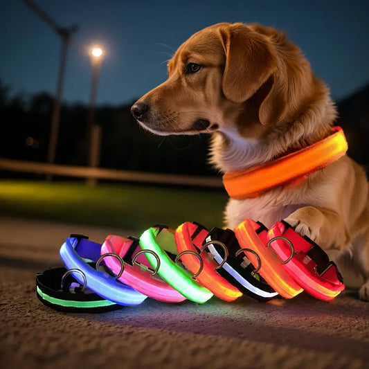 Glowing LED Dog Collar - Keep Your Pet Safe at Night